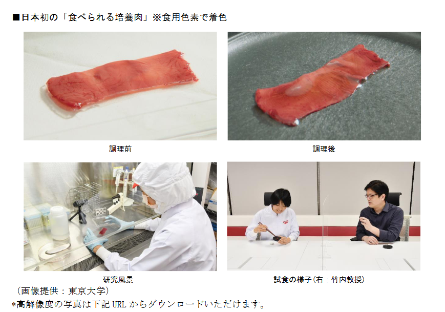 Nissin reports on Japan’s first cultured steak meat with original flavor and texture