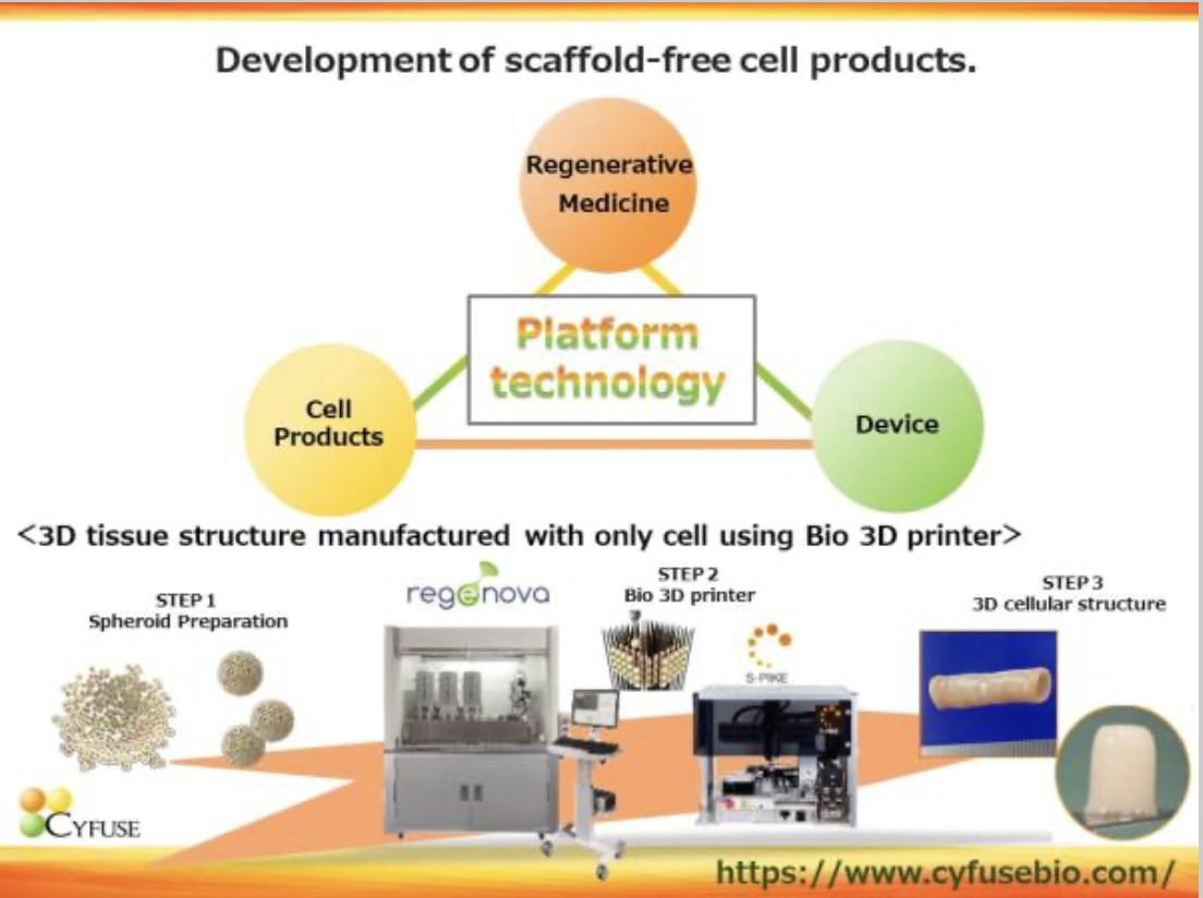 2022/10 Cyfuse reports progress on 3D printed organoids