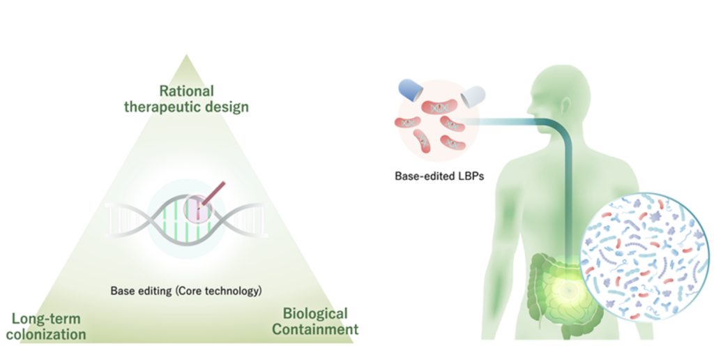 2023/05 Kobe’s BioPalette develops genetically modified enterobacteria for microbiome therapy