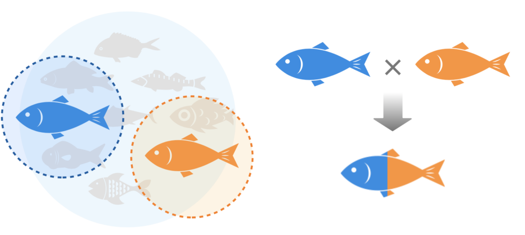 2023/09 Sakana Dream Co. develops high-value aquaculture fish through reproductive stem cell transplantation
