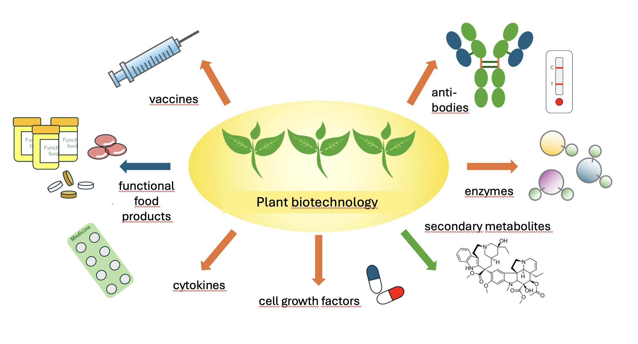 2025/07 Yokohama University opens “plant biomanufacturing center” for recombinant proteins